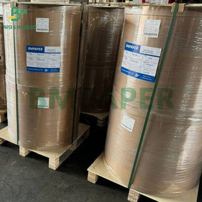 Moisture Resist 25gsm to 40gsm Food Grade White Paper Roll for Wrapping Tortillas