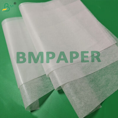 20g Papel Cebolla Tortilla Separator Paper Non Stick 12'' x 12'' Heat Resistant