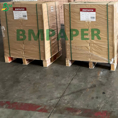20gsm Food Grade Tortilla Separator Paper Onion Skin Paper Papel Cebolla