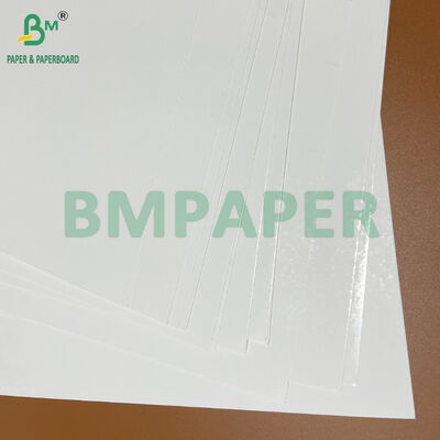 325gsm Tamper Proof Blister Packaging Cardboard for Pharma and Cosmetic Packs
