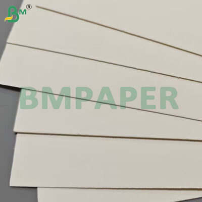 Food Grade Food Container Paper Sheets 190gsm + PE Coating