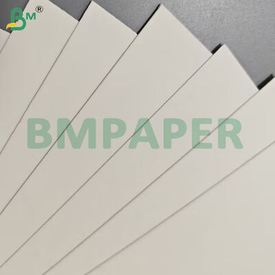 Food Grade Food Container Paper Sheets 190gsm + PE Coating