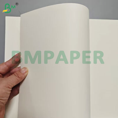 Food Grade Food Container Paper Sheets 190gsm + PE Coating