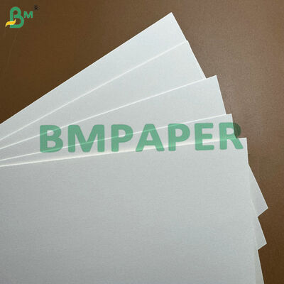Heavy-Duty Greaseproof 190gsm 210gsm Paperboard for Food Trays & Takeaway Boxes