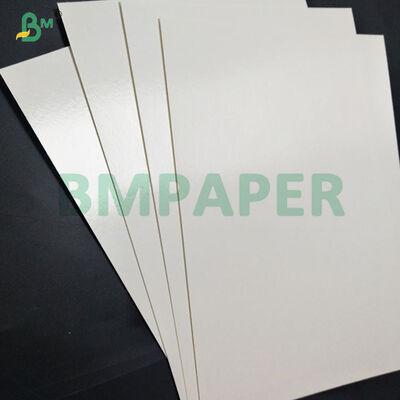 180–350gsm Waterproof PE Coated Paper For Disposable Instant Noodle Bowl