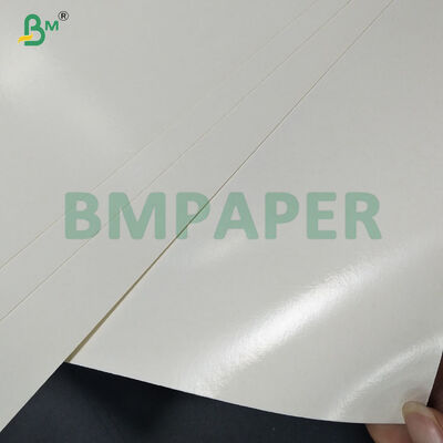 Virgin Wood Pulp PE Laminated Instant Noodle Cup Bowl Raw Paper Anti Leakage 