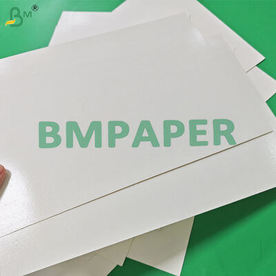 300gsm +15g PE Coated White Lunch Box Paper For Packing Fast Food 400 x 500mm