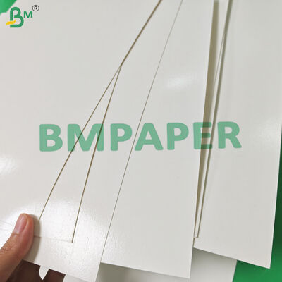 300gsm +15g PE Coated White Lunch Box Paper For Packing Fast Food 400 x 500mm
