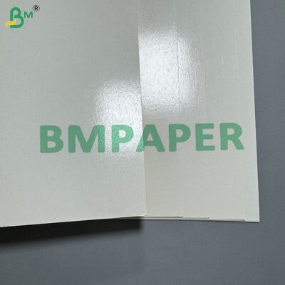Oilproof & Moistureproof Base Material PE Coated 190gsm 210gsm Raw Paper for Disposable Tableware