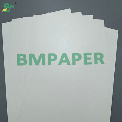 170-400 gsm PLA Coated Cupstock Paper Compostable Paperboard for Hot & Cold Beverage Cups