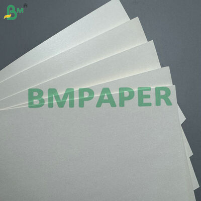 170-400 gsm PLA Coated Cupstock Paper Compostable Paperboard for Hot & Cold Beverage Cups