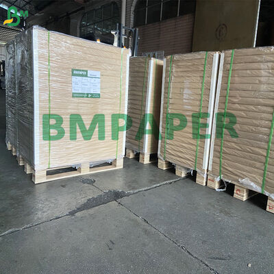Food Grade PE Coated High Stiffness Cupstock Waterproof Leak Proof