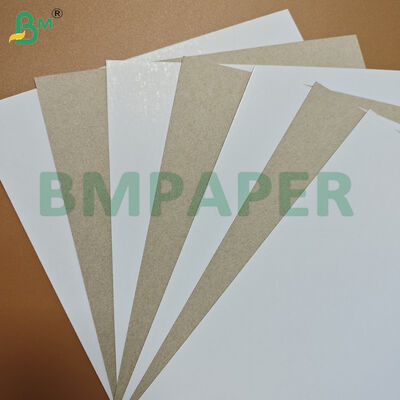 0.5mm Durable Coated One Side With Grey Back Duplex Cardboard
