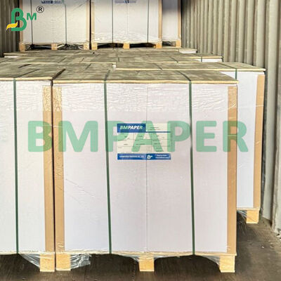 75gsm NCR Copy Paper Sheets Letter Size 500 Sheets per Ream