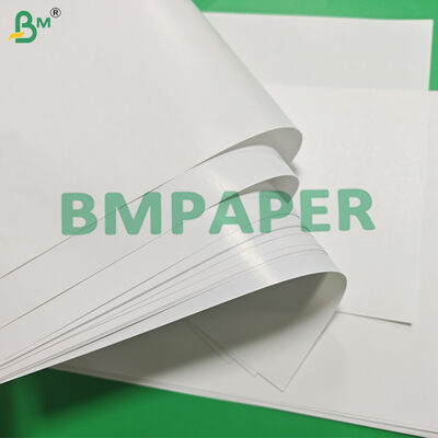 80gsm C1S Glossy Paper For Tea Bag Outer Envelopes 700 x 1000mm High Whiteness