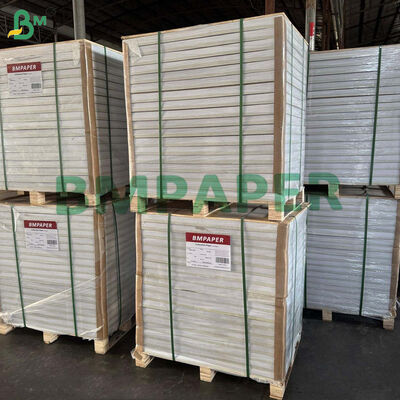 80gsm C1S Glossy Paper For Tea Bag Outer Envelopes 700 x 1000mm High Whiteness