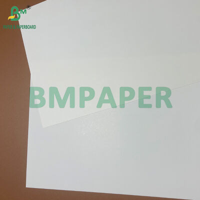 215gsm 230gsm 280gsm FBB Greaseproof White Paperboard for Packing Fatty Foods