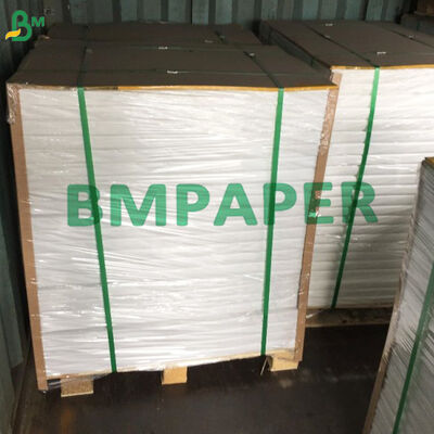Custom Printed Food Grade PE Coated White Kraft Paper for Food Packaging Bags