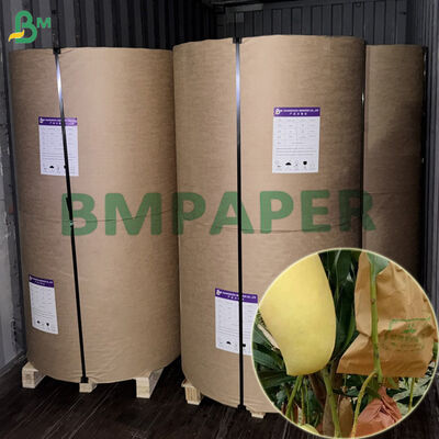 Double Layer Waterproof 56gsm Fruit Protection Wrapping Paper For Mango 450mm