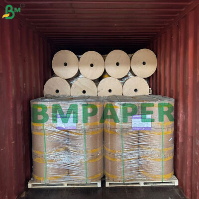 Mango Fruit Growing Bag Inner Paper 30gsm Double Sided Coated Gloss