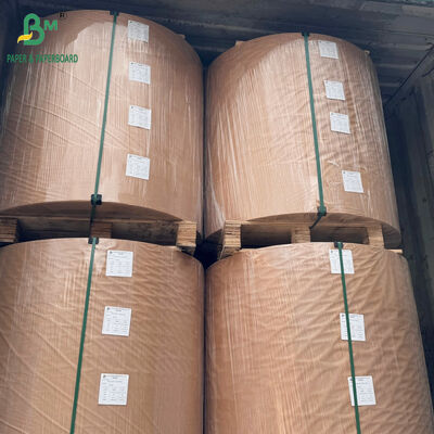 38gsm 40gsm High Temperature Resistant White Parchment Paper Non Stick for Baking