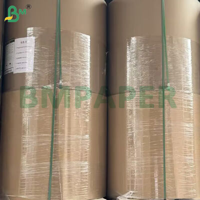 40gsm Silicone Coated Paper Rolls 600mm Width for Bread Baking