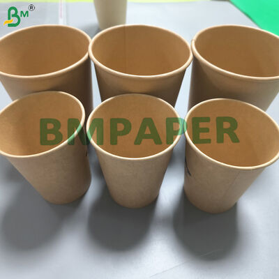 Two Sides Kraft Base Paper For Beverage Cups Forming 210 - 320gsm