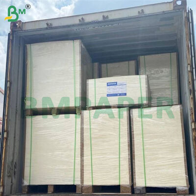350gsm+15gsm PE Coated Cup Stock Paper Sheets Heat Resistant