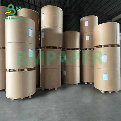 180gsm + 18gsm Single Side PE Coated White Cup Paper Bowls Paper
